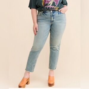 Pilcro High Rise Vintage Straight Jeans size 30P